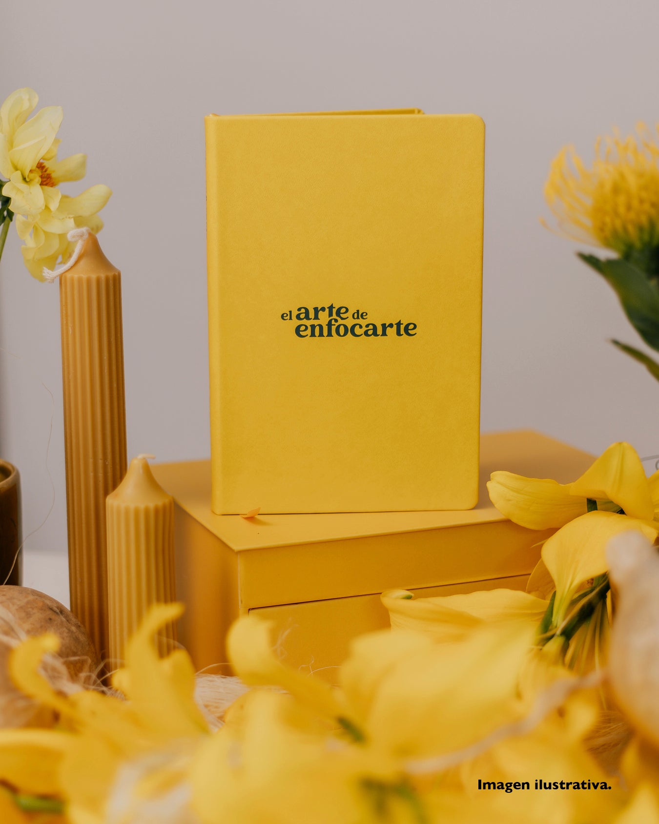 El Arte de Enfocarte: Diario de enfoque